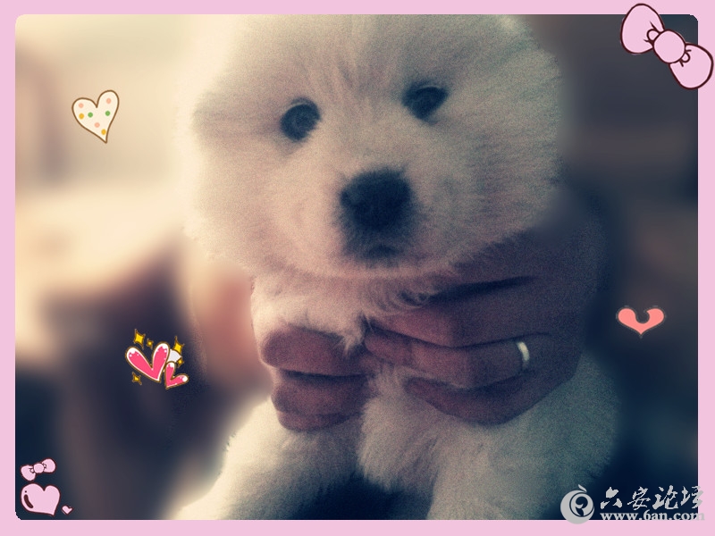 2012-03-22 13.58.07_副本.jpg