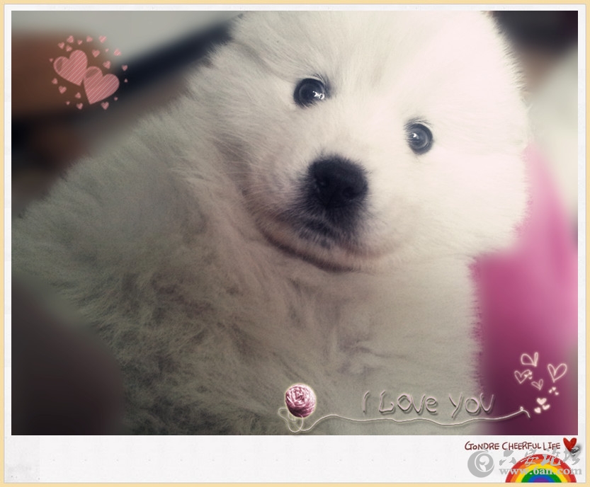 2012-03-22 13.59.21_副本_副本.jpg