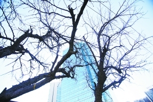 20120405084451218.jpg
