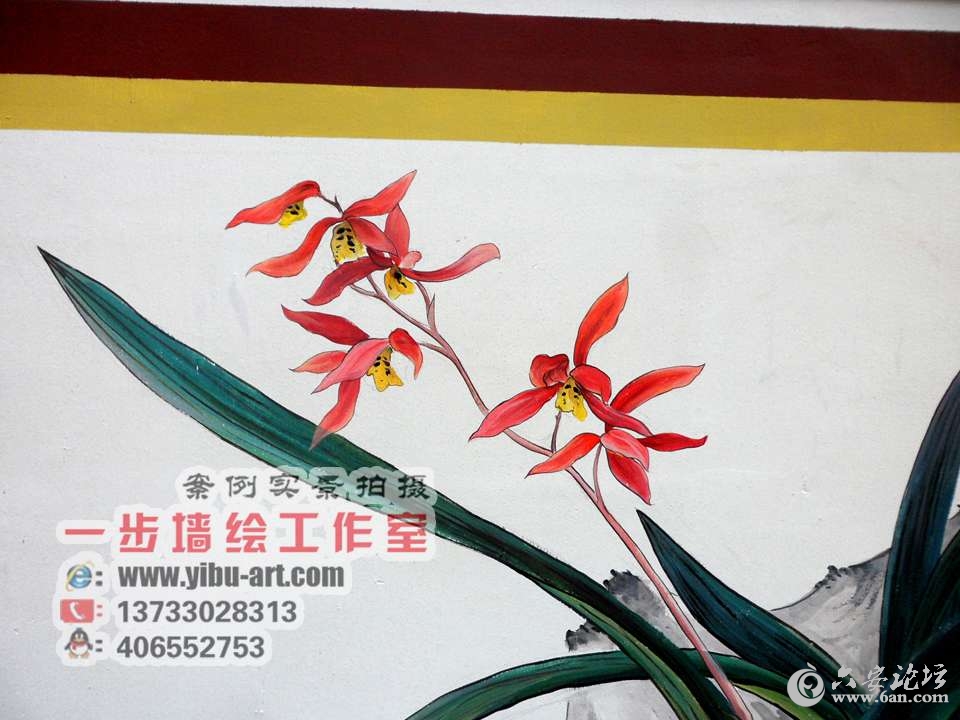 手绘墙之兰花.jpg