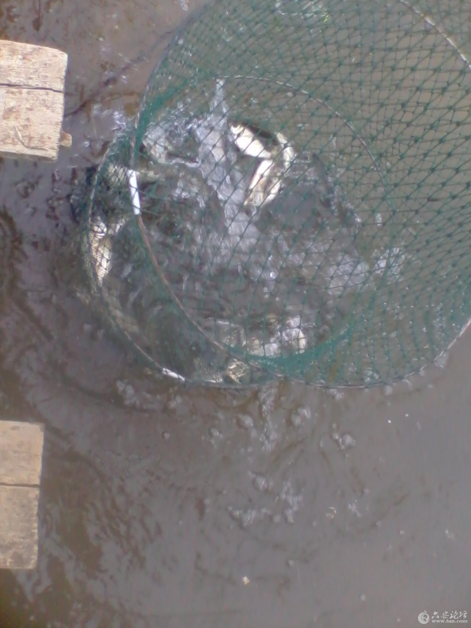 2012-04-14 14.51.43.jpg