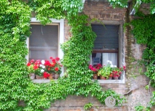 Beauty-town-3.jpg Beauty-town-3.jpg