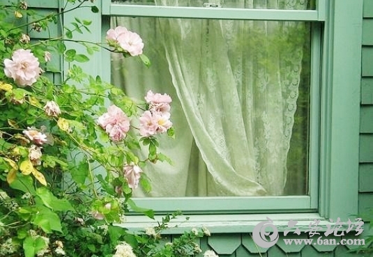 Beauty-town-14.jpg Beauty-town-14.jpg