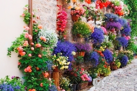 Beauty-town-8.jpg Beauty-town-8.jpg