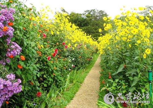 Beauty-town-18.jpg Beauty-town-18.jpg