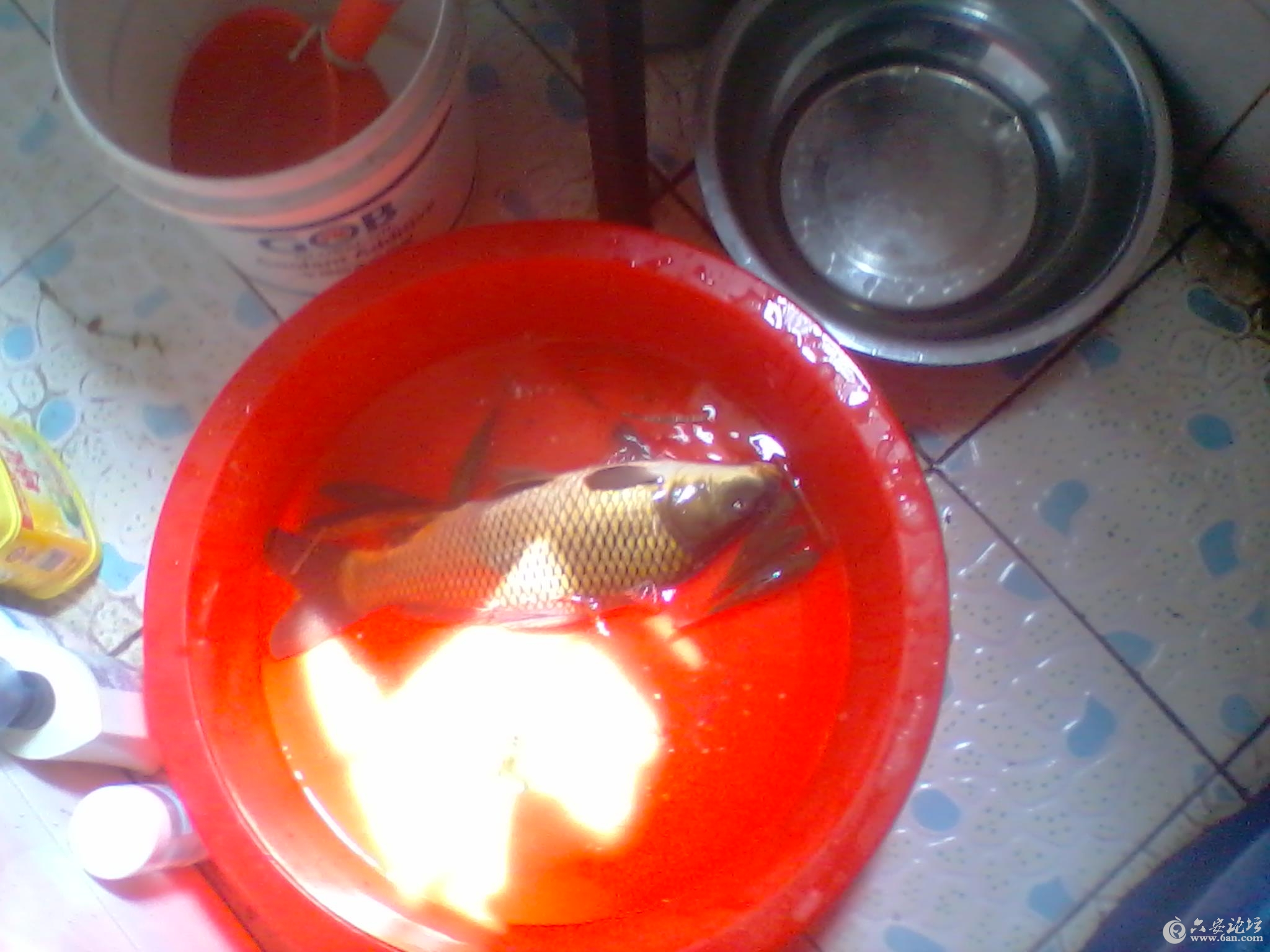 2012-04-17 13.24.33.jpg