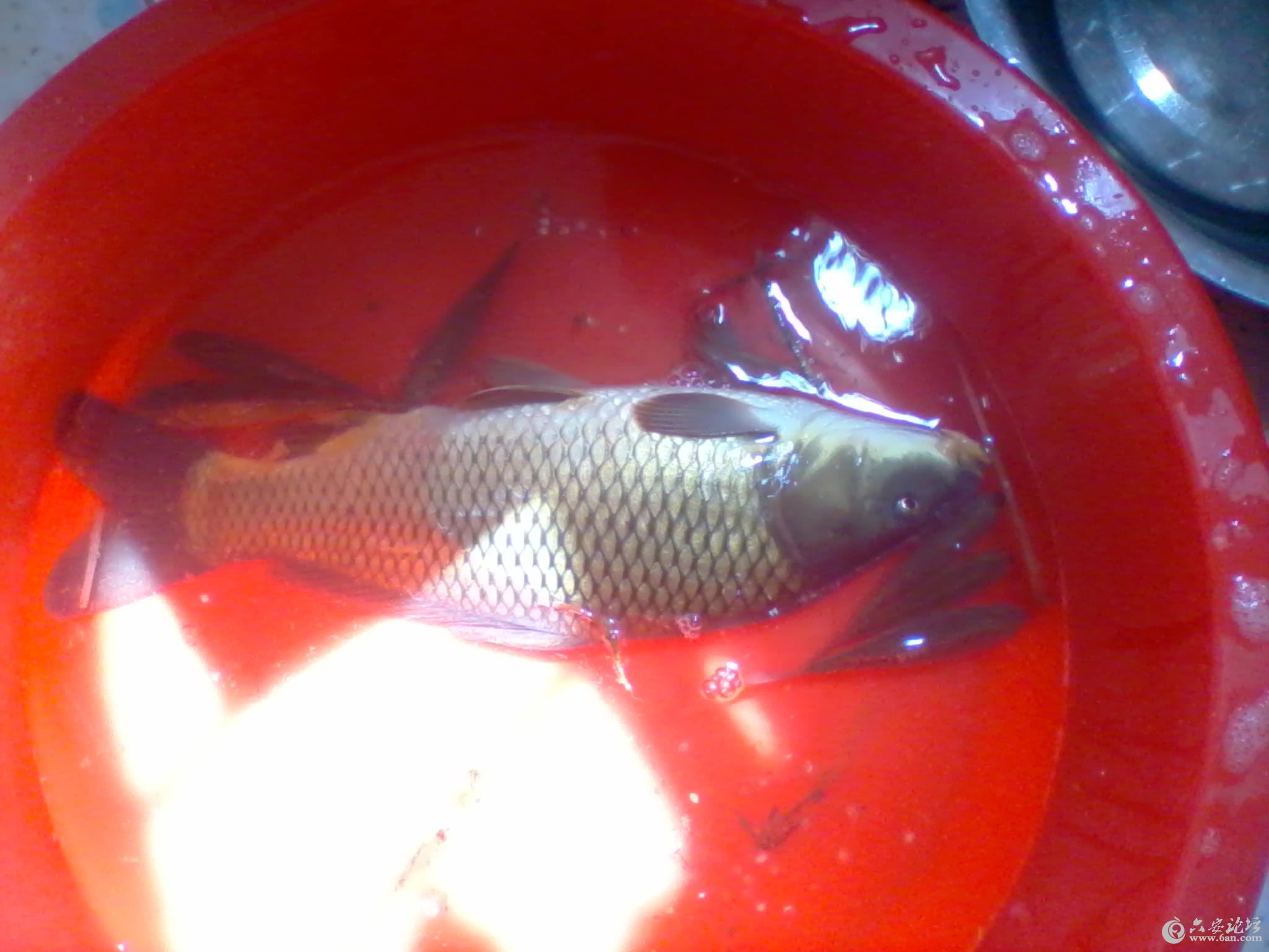 2012-04-17 13.24.38.jpg