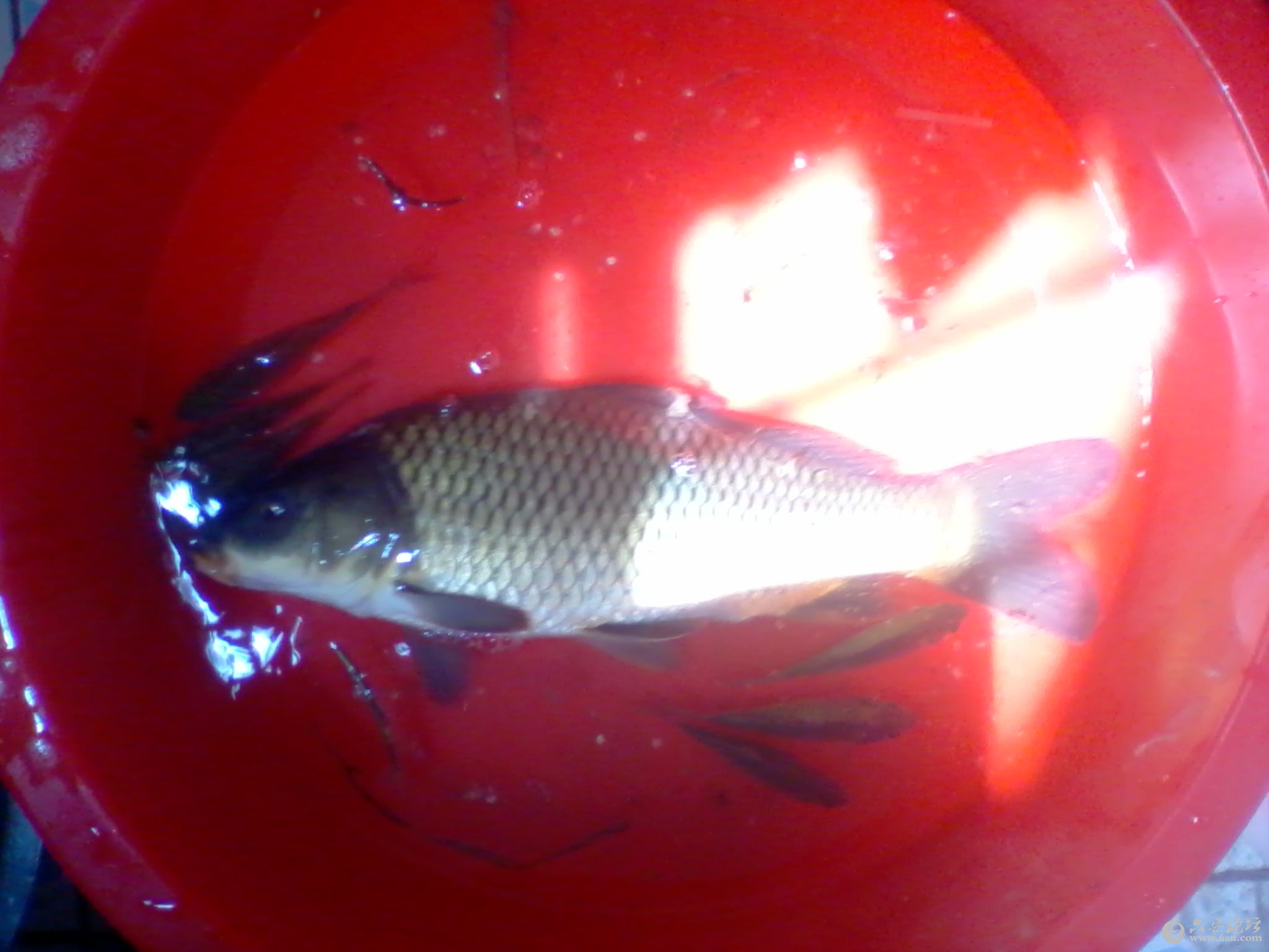 2012-04-17 13.24.53.jpg