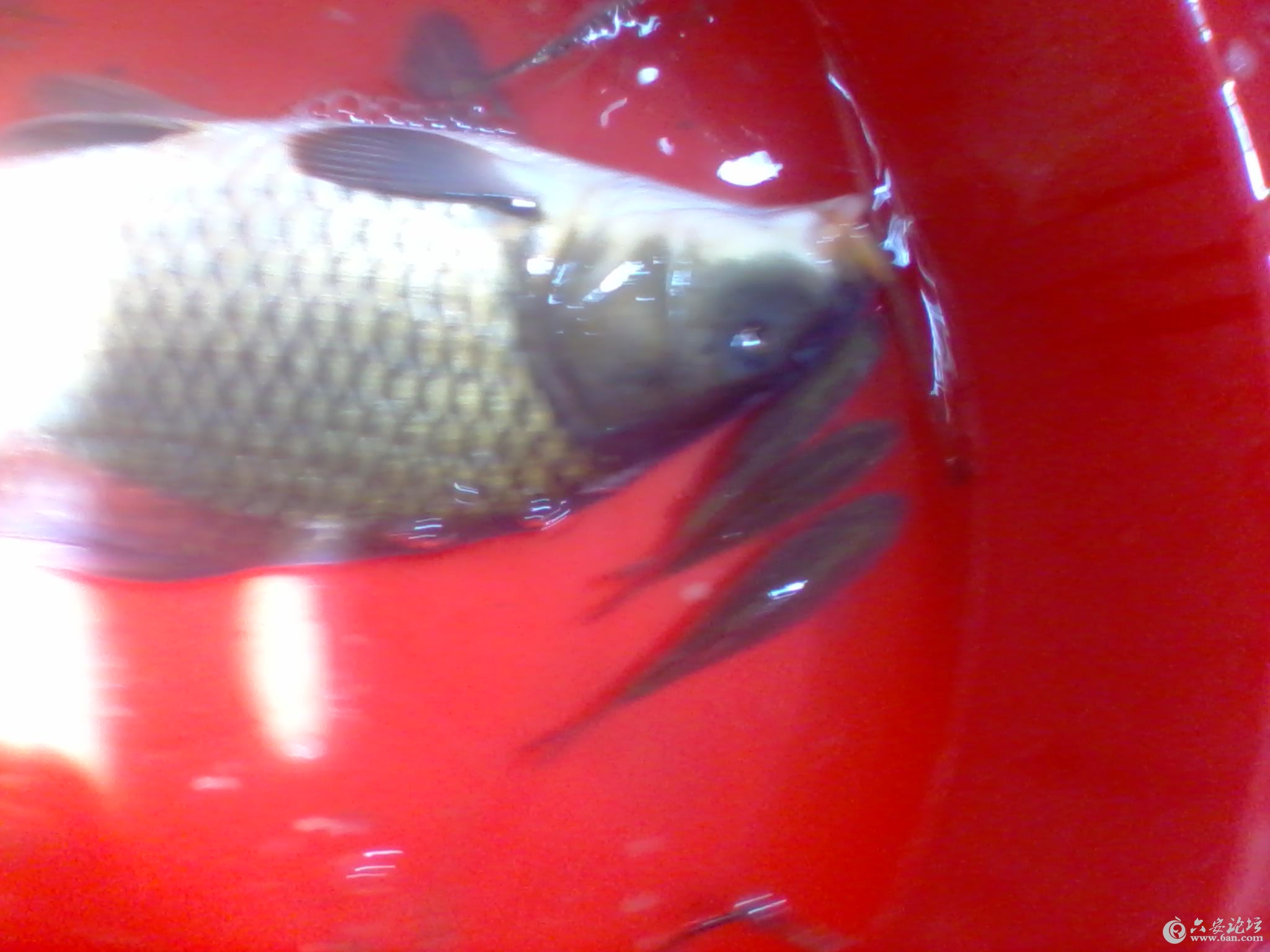 2012-04-17 13.25.05.jpg