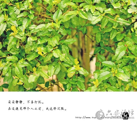 1003476900489ff91d.jpg
