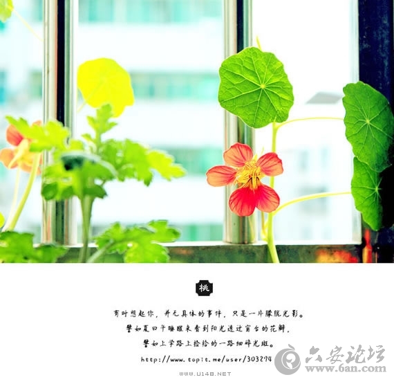 1003476986d19db90c.jpg