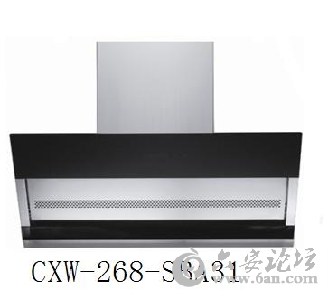 CXW-268-SBA31.JPG