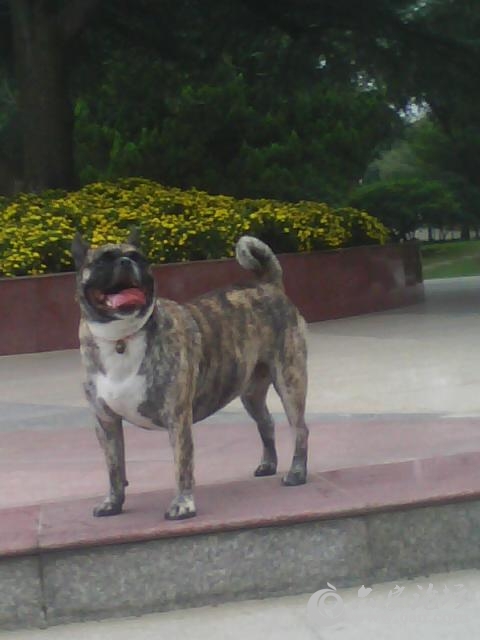 Photo_0116.jpg