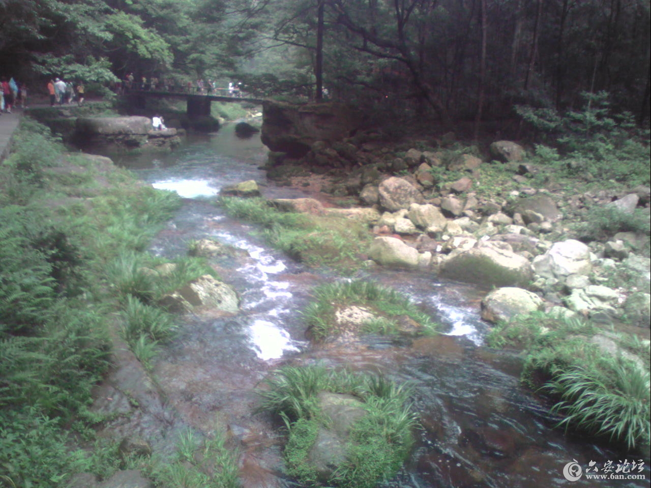 金鞭溪.jpg 金鞭溪.jpg