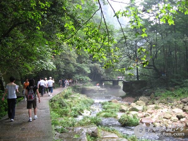 金鞭溪1.jpg 金鞭溪1.jpg