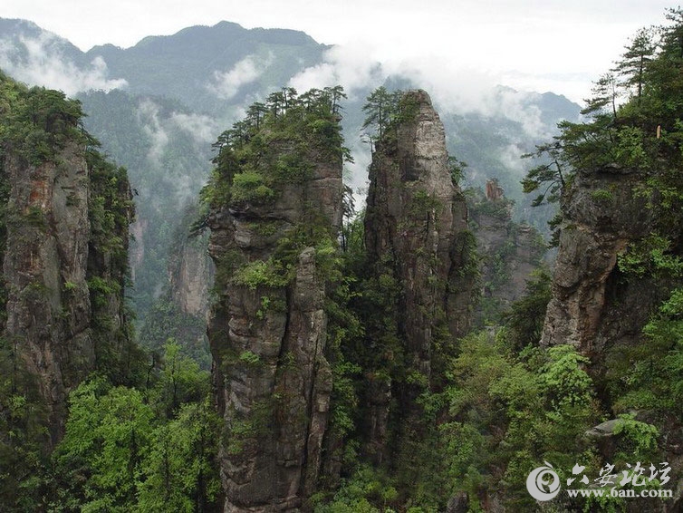 天子山.jpg 天子山.jpg