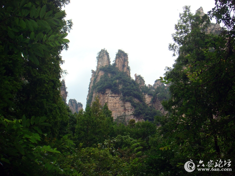张家界.jpg 张家界.jpg