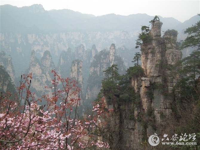 天子山.jpg 天子山.jpg