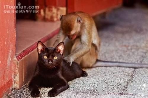 1335918048650.jpg 1335918048650.jpg