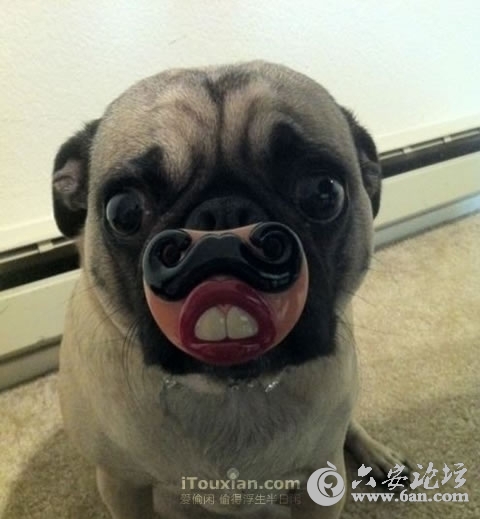 1335918375404.jpg 1335918375404.jpg