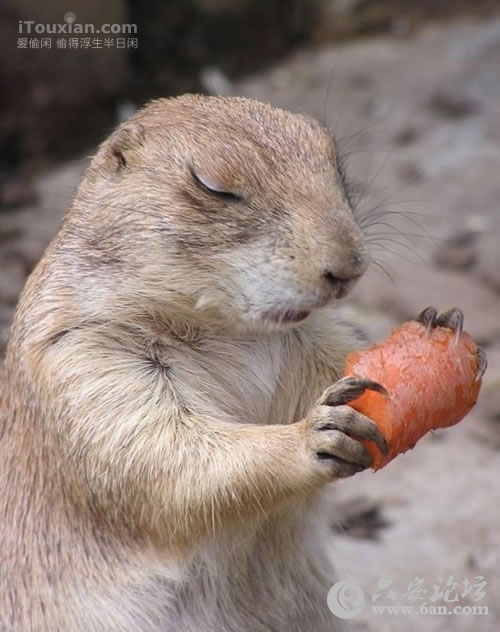 1335918988233.jpg 1335918988233.jpg