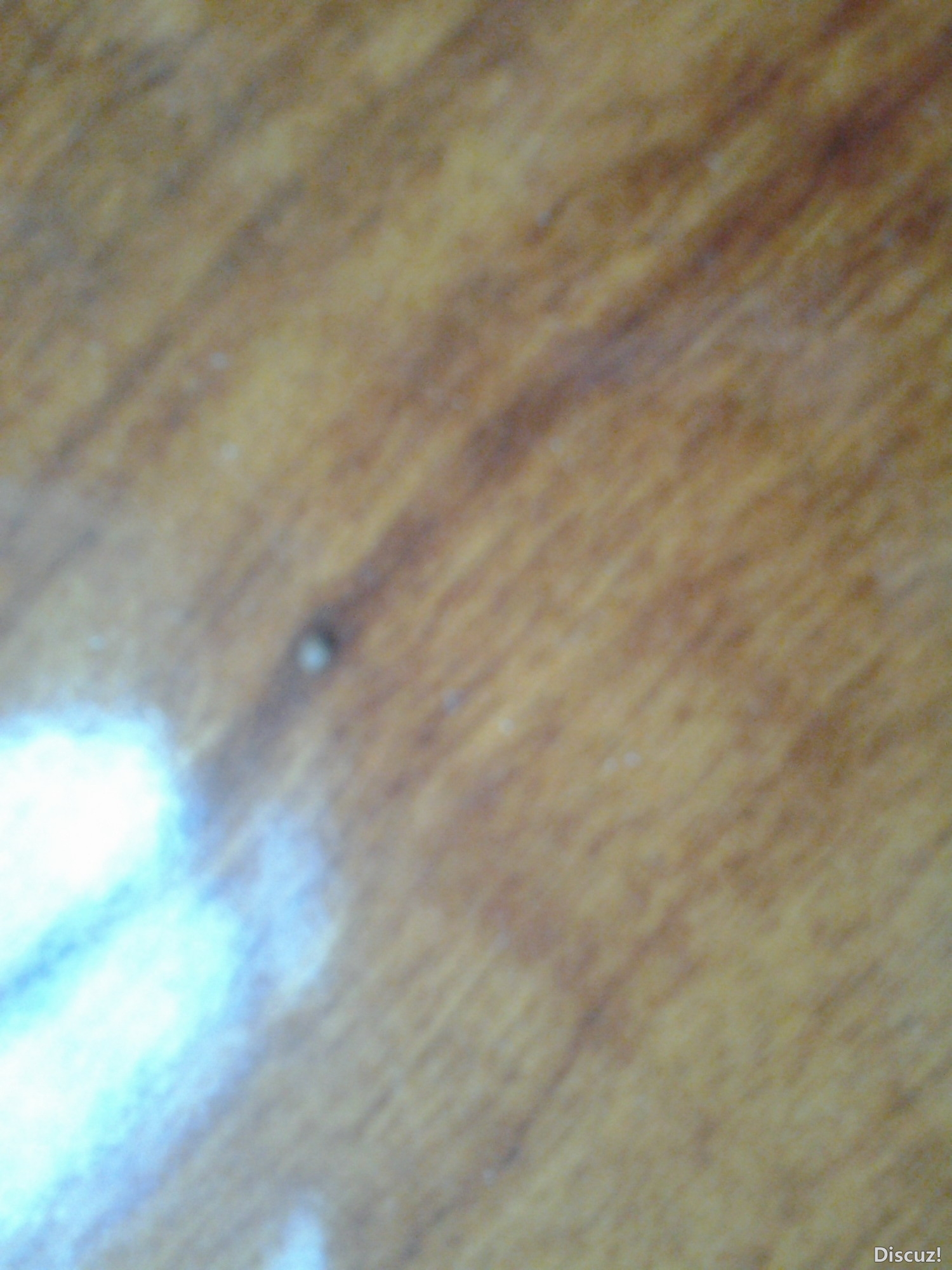 2012-05-29 06.46.09.jpg