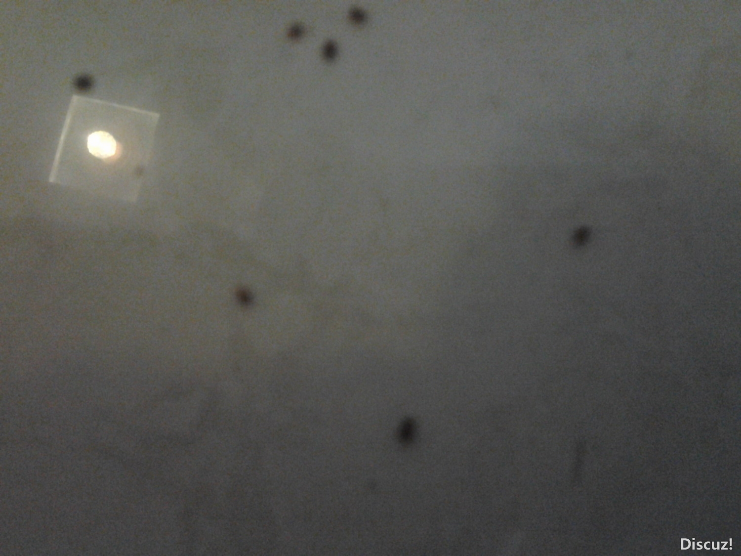 2012-05-28 20.45.24.jpg