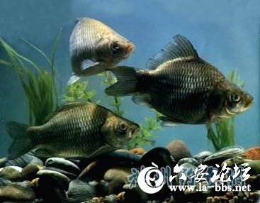 234256hhopuohlo4zrouta (1).jpg