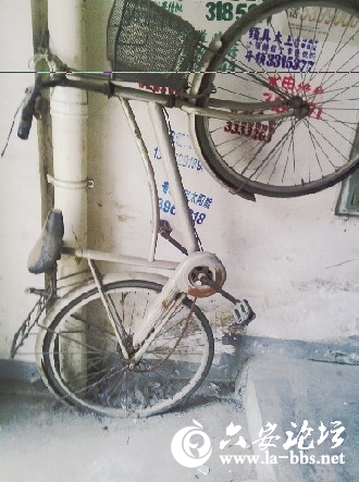 自行车.jpg