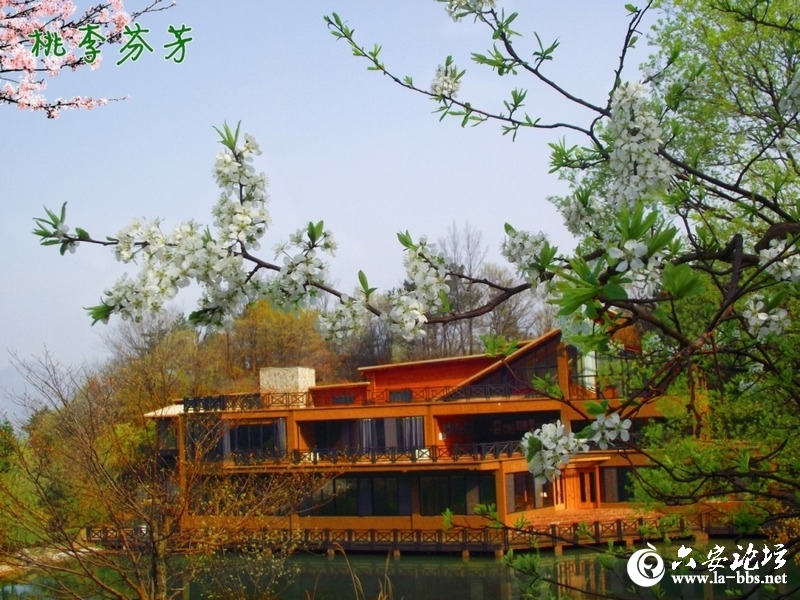 山庄春色.jpg