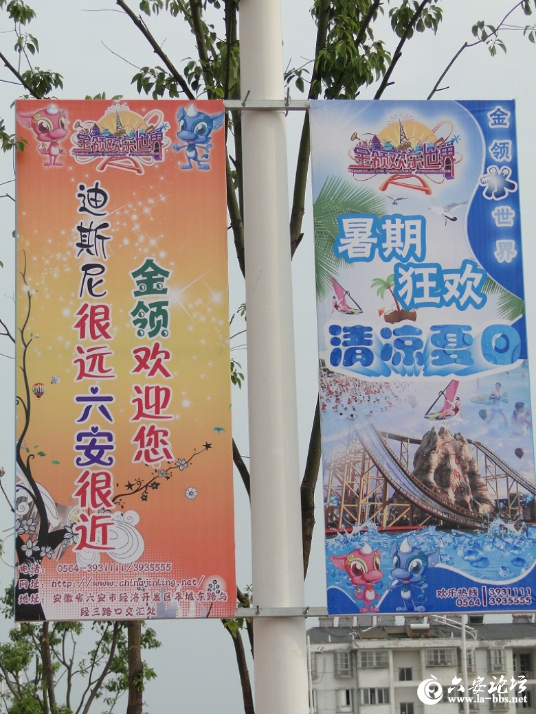 DSC00031.jpg DSC00031.jpg