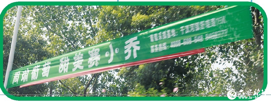小乔.jpg