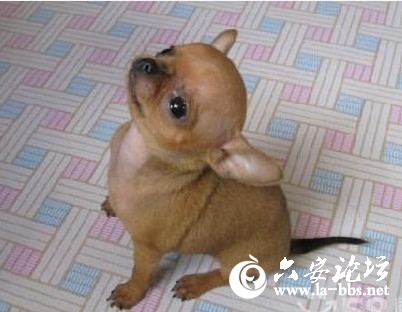 QQ截图20120809142406.jpg