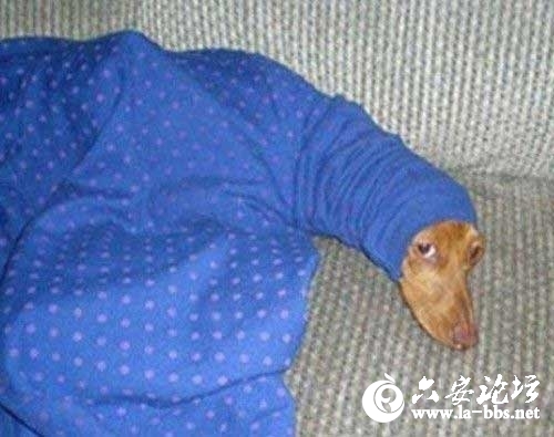 2012091710.jpg