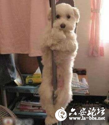 2012091804.jpg
