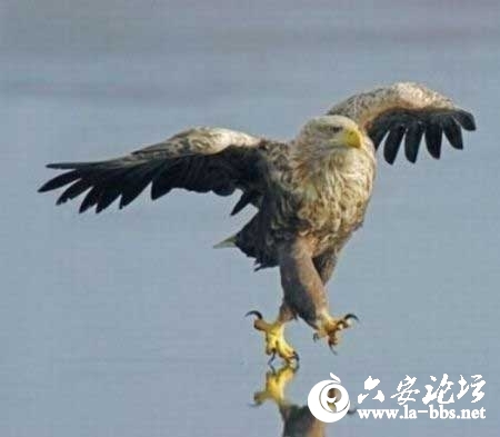 2012091810.jpg