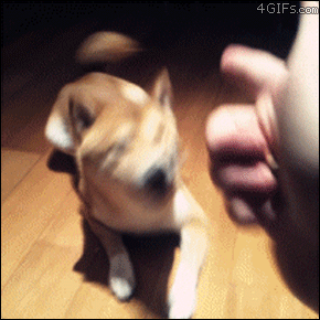t023fd8bde23616e73e.gif