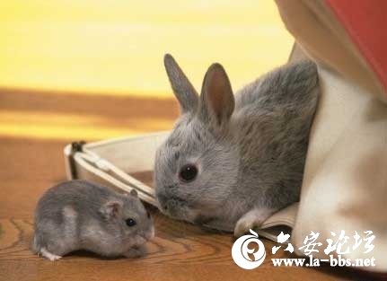 2012092110.jpg