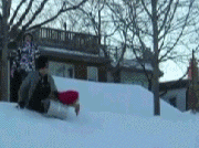 141150.gif