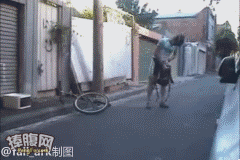 140967.gif