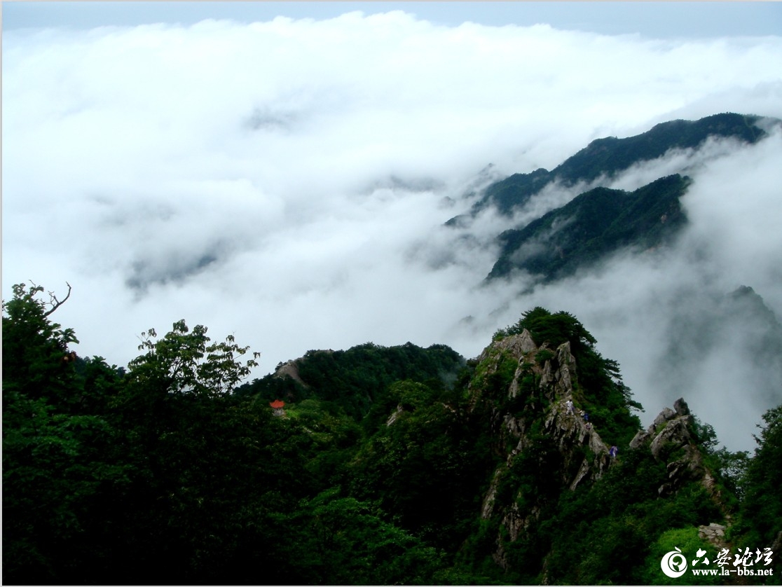 QQ截图20120929090347.jpg