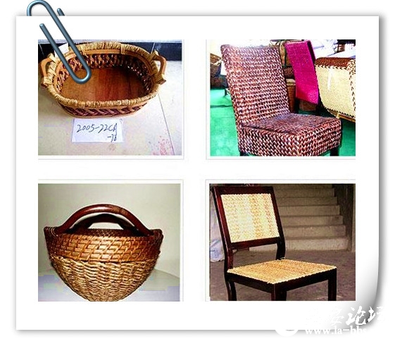 霍邱柳编.jpg