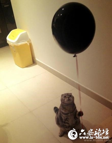 2012082316232559141.jpg