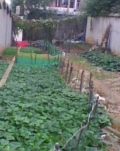 IMG0814A.jpg
