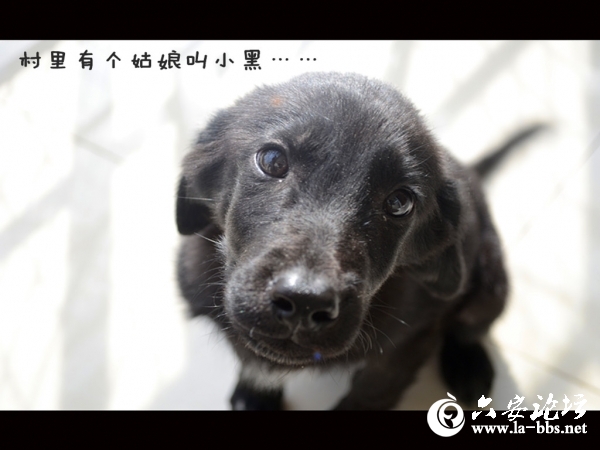 DSC_4483_副本.jpg