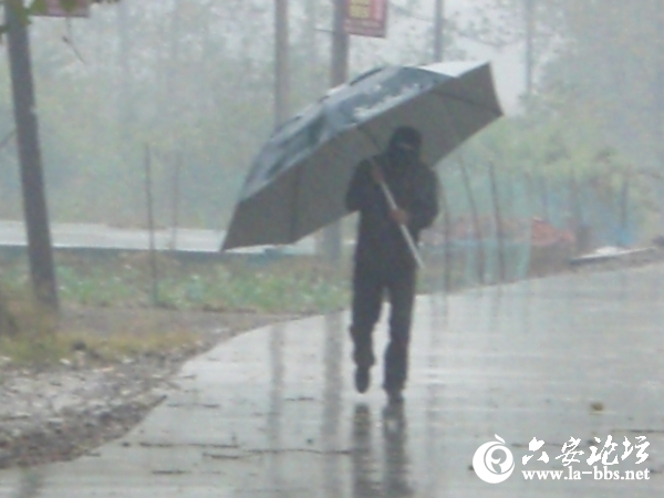 再大的雨也不怕