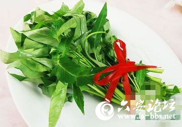 1_副本.jpg 1_副本.jpg