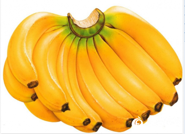 香蕉1.png