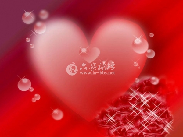 感恩父母489751_950.jpg