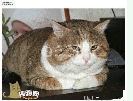 18.png